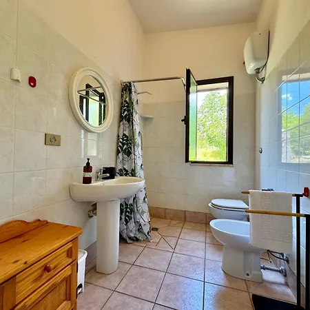 Nature Apartment