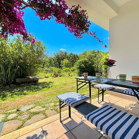 Nature Apartment